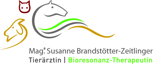 Tierärztin Susanne Zeitlinger